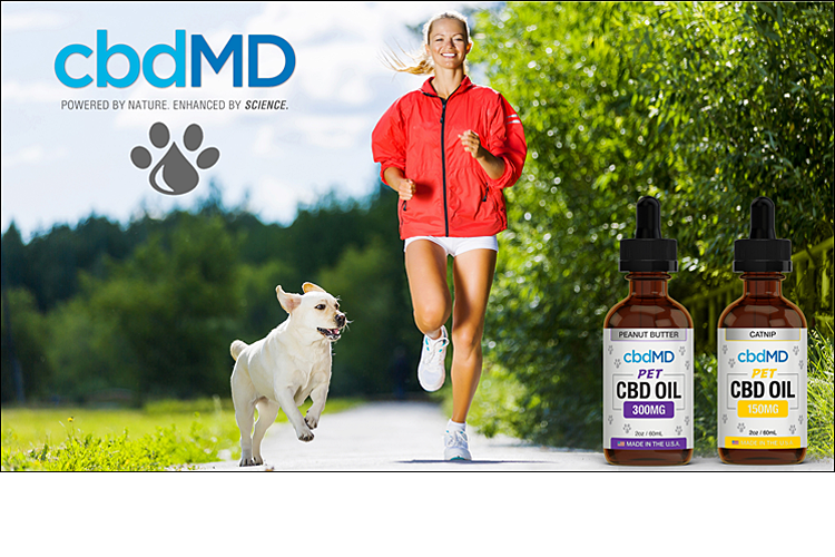 CBD MD